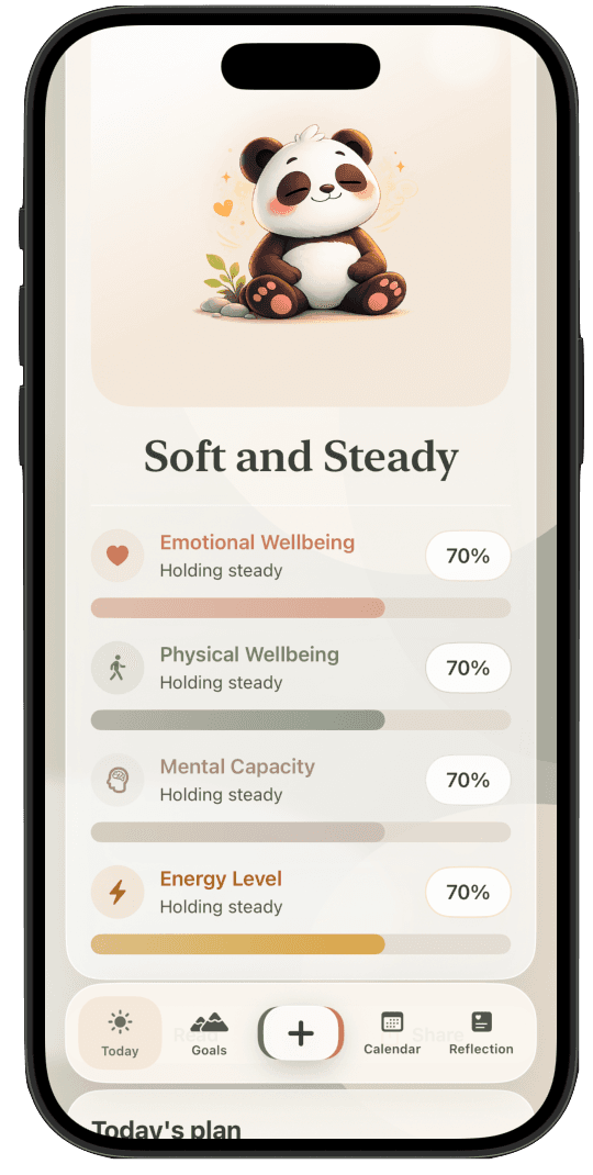 AboutToday wellbeing app showing emotional wellbeing, physical wellbeing, mental capacity and energy
